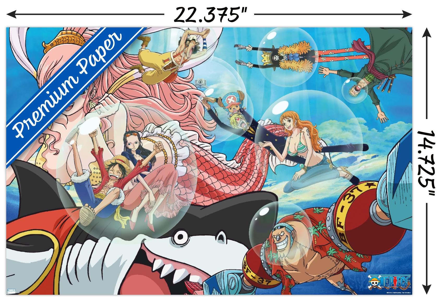 Amazon.com: Trends International One Piece: Fishman Island