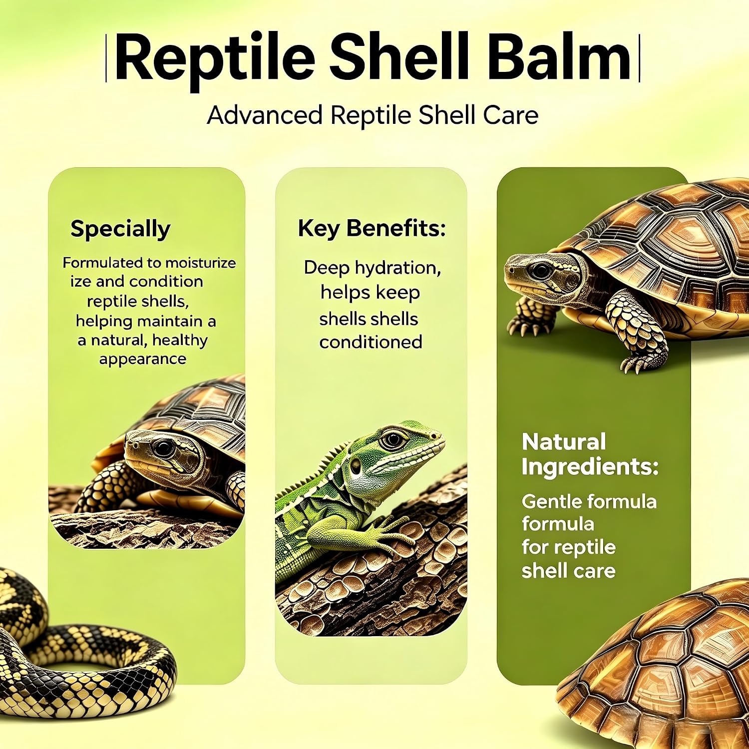 Reptile Shell Balm 2.8 Oz (80g), Tortoise Shell Care Moisturizer & Conditioner, Shell Protector for Box Turtles, Sulcata, Russian & Desert Tortoises, Apply on Turtle Shell, Prevents Dryness.