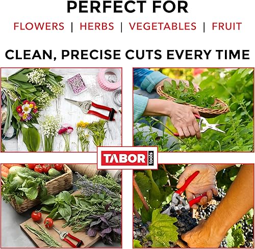Miniatura 3 de TABOR TOOLS Tijeras de poda, tijeras de florista, tijeras de jardín multitarea para organizar flores, recortar plantas y cosechar hierbas, frutas o