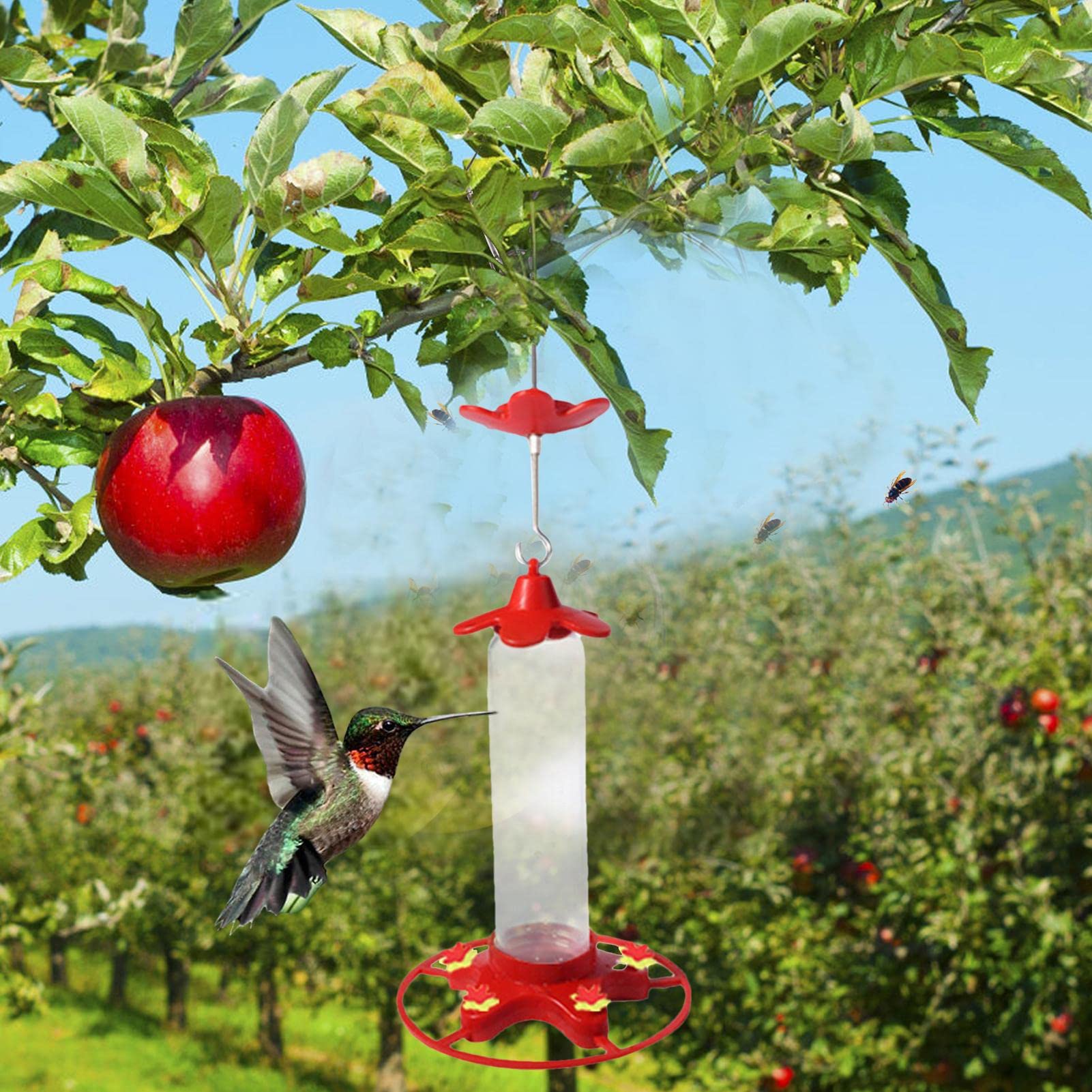 Kolibri-Futterspender Set, 3 Stück – 100 Ml Fassungsvermögen, Transparent, Mit 4 Anschlüssen
