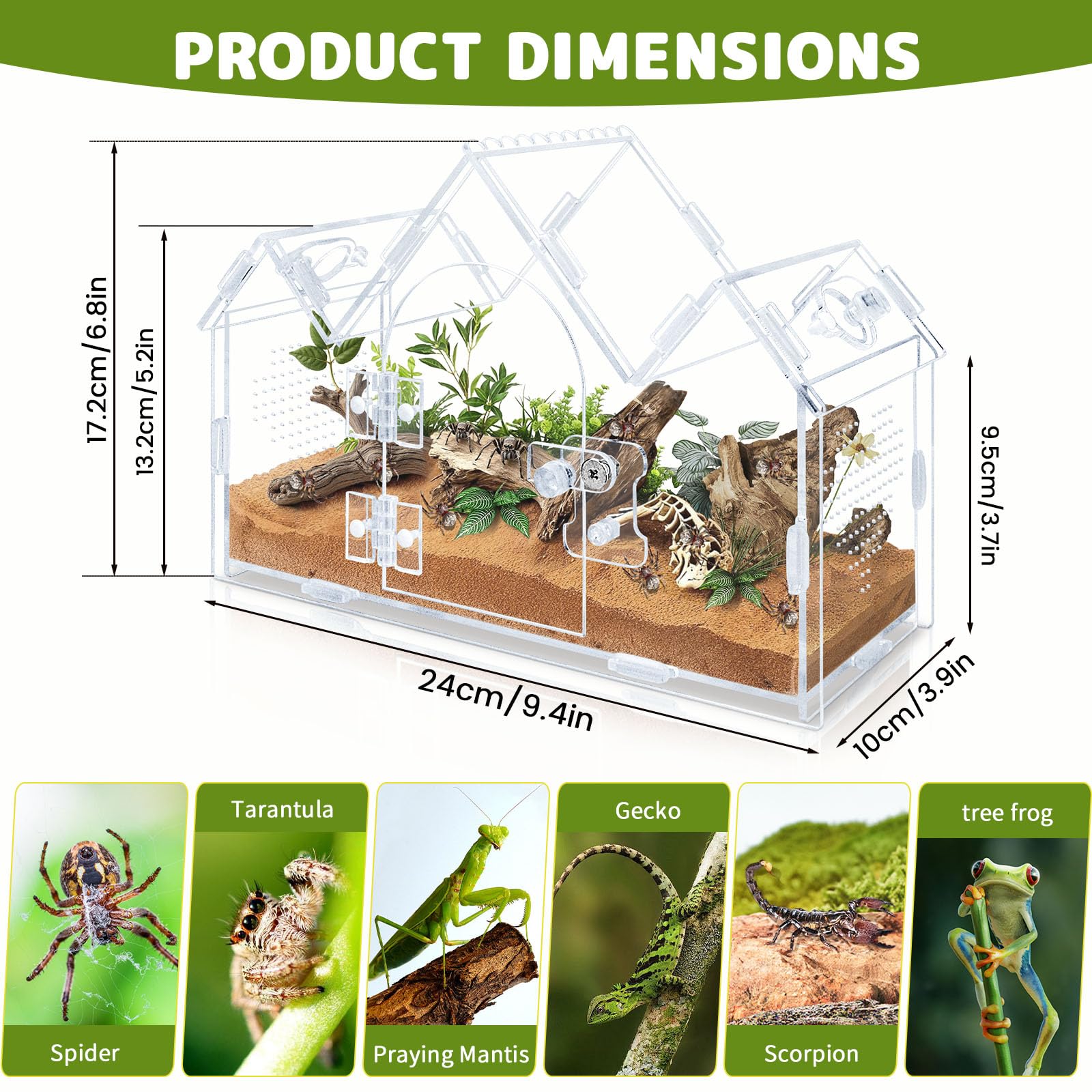 Acryl Terrarium für Springspinnen, 24x11x17cm Vogelspinnen Gehege mit Fronttür & Fütterungslöchern, Durchsichtiges Insektenhaus im Schloss-Design