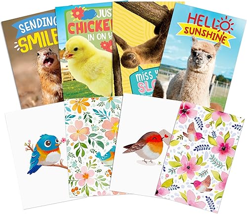 T MARIE 48 tarjetas de felicitación en blanco – 24 tarjetas de felicitación de acuarela de pájaros florales y 24 tarjetas divertidas de animales con disponible en Yaxa Costa Rica
