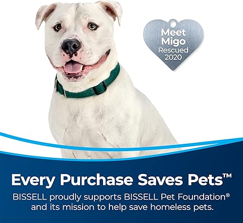 Miniatura 2 de Bissell MultiClean Allergen Rewind - Aspiradora para mascotas con sistema sellado de filtro HEPA, rebobinado automático de cable, rollo de cepillo