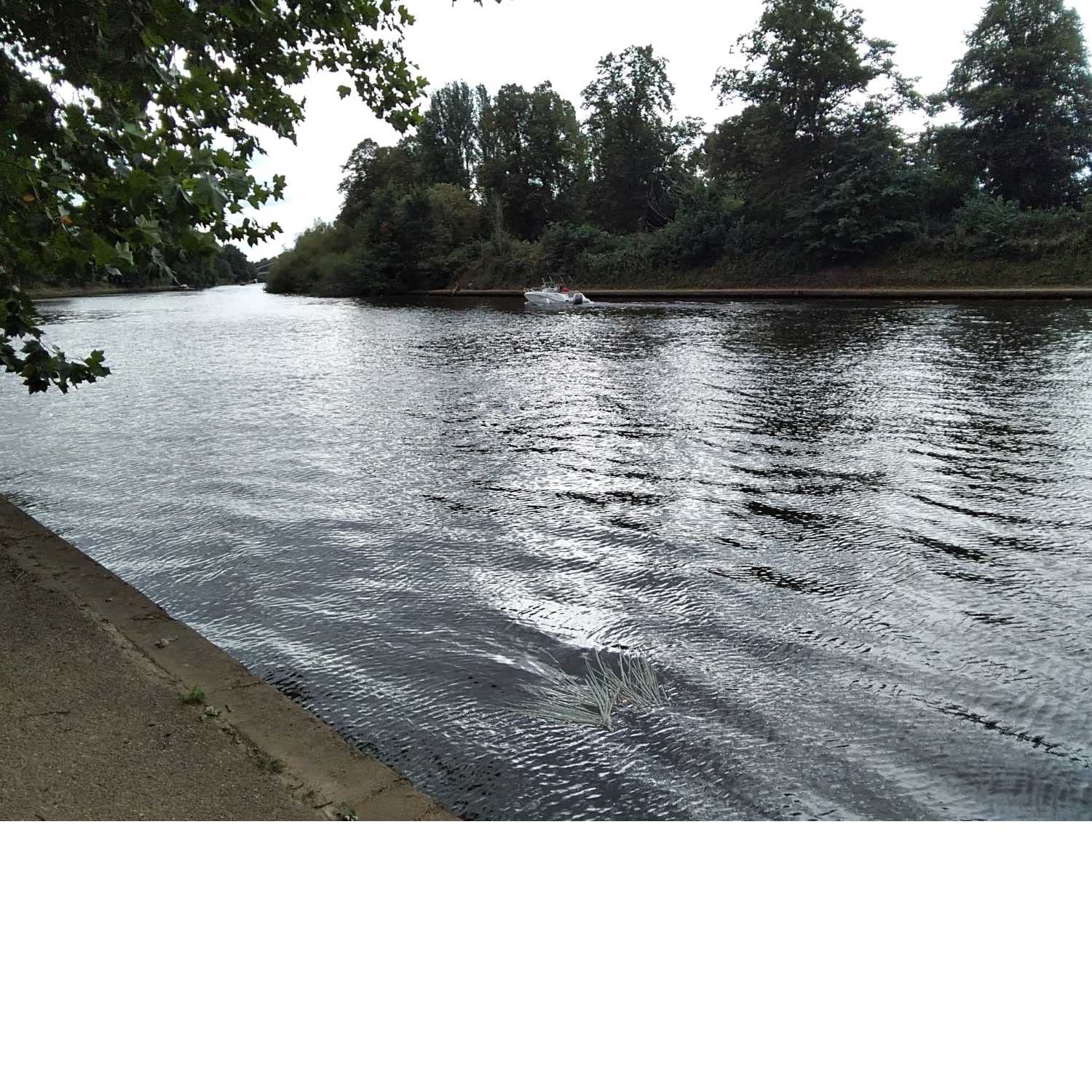 Align to Your Soul's Purpose