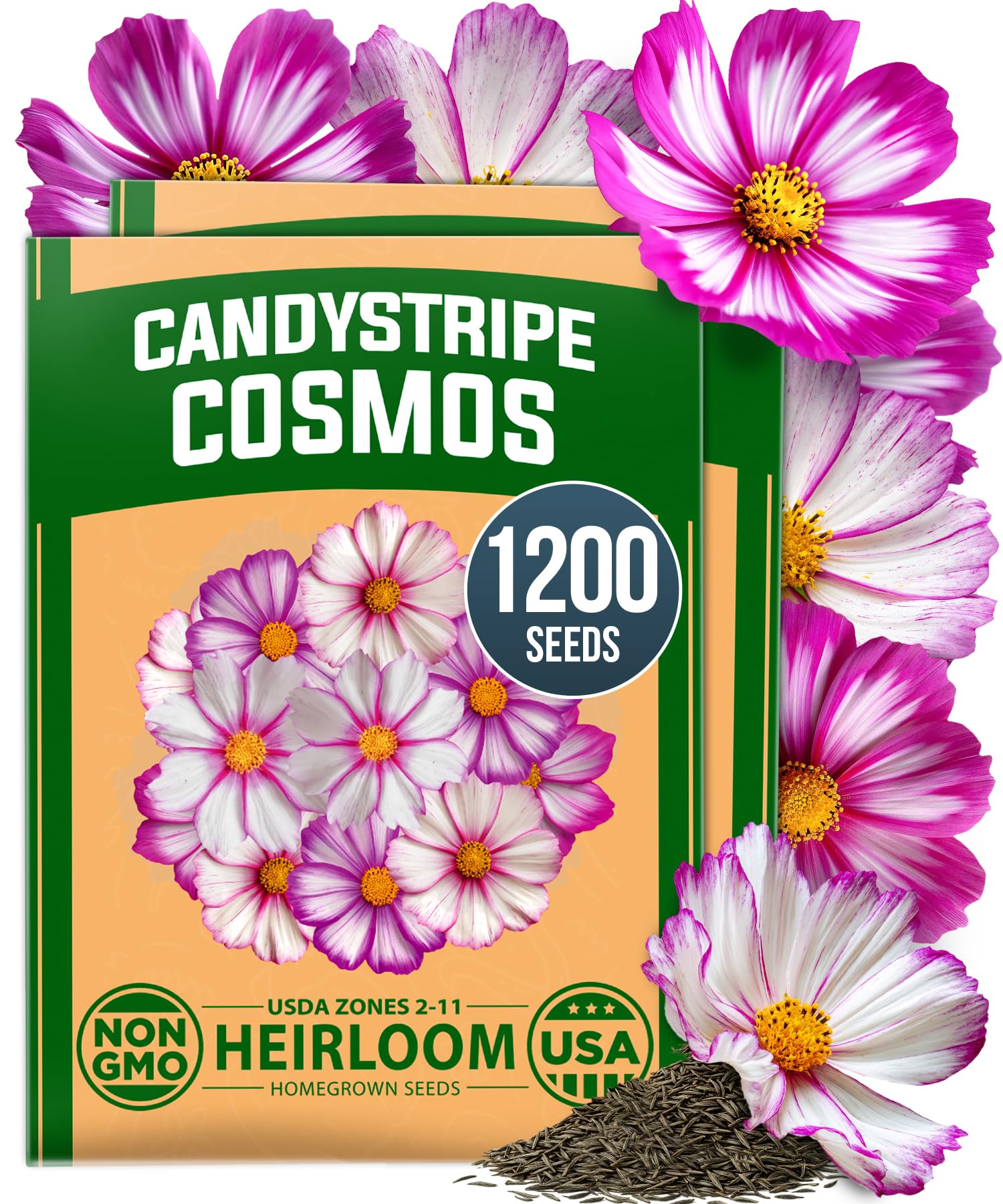 HOME GROWN Candystripe Cosmos Seeds, 1200 Seeds, Cosmos bipinnatus