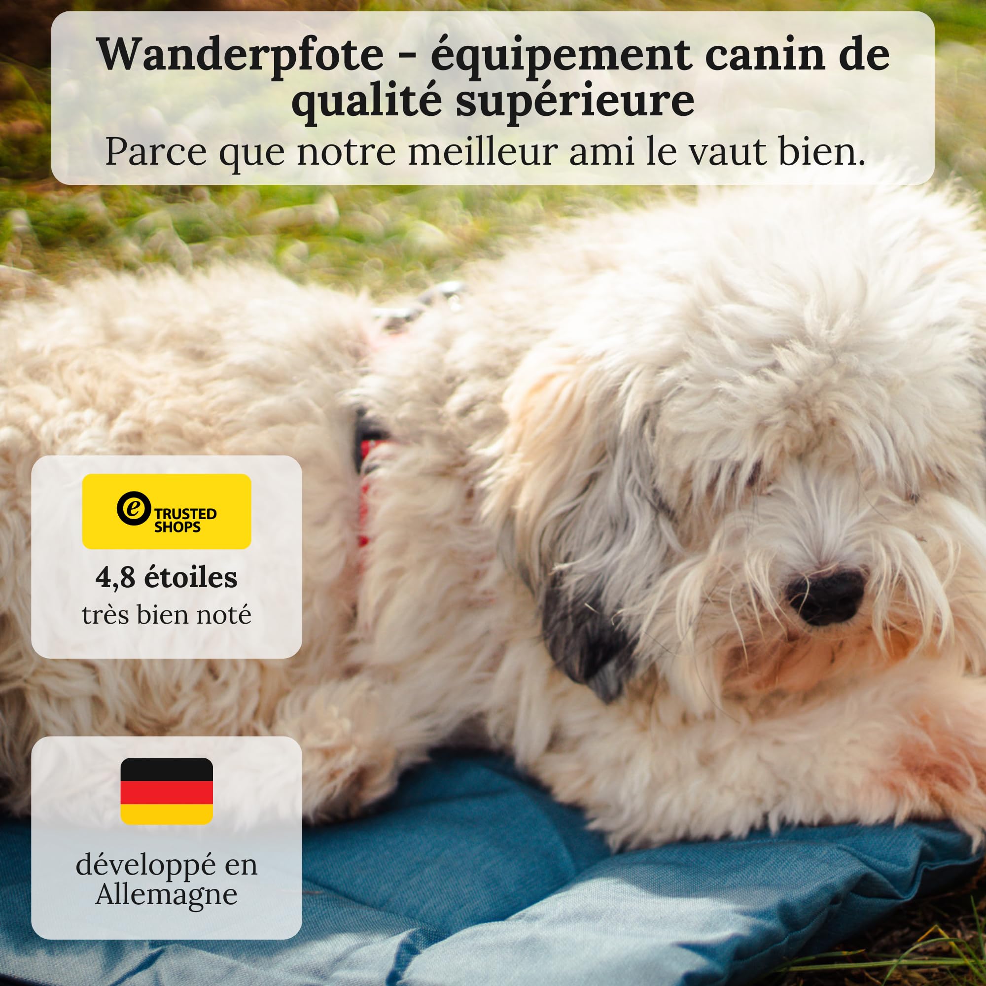 Tapis pour Chien, pour Les déplacements, Enroulable (Marron, M)