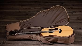 Amazon.com: Taylor Academy 12e Grand Concert Sitka Spruce/Sapele w