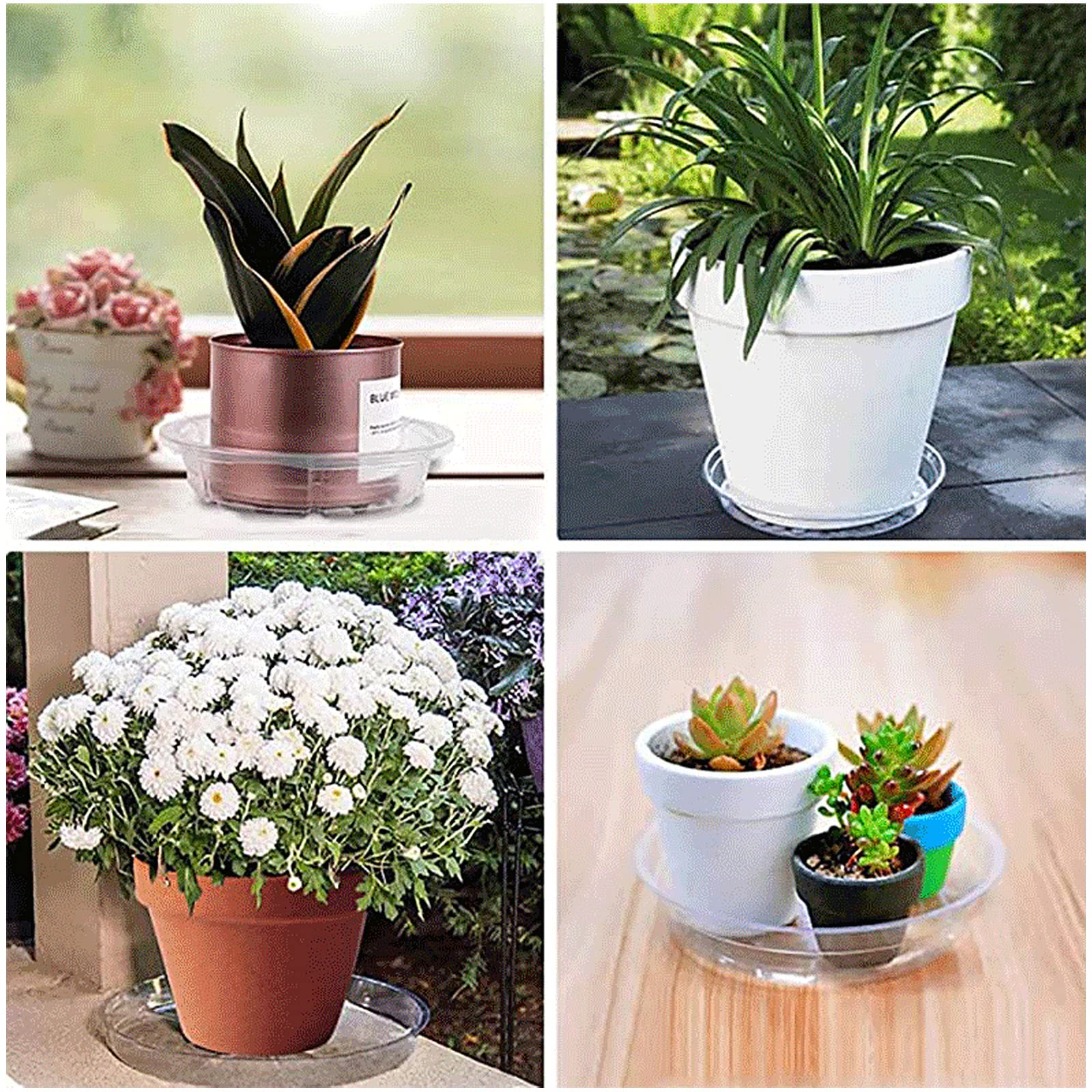 Vergissmeinnicht Lot De 20 Soucoupes Transparentes En Plastique Robuste