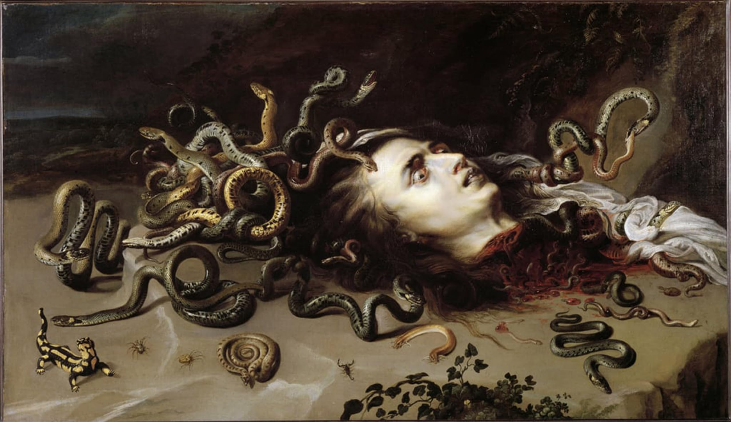 ARTXLXXBN Famous Painting Canvas Artwork Graffiti Print Head of Medusa by Peter Paul Rubens Portrait Canvas Image for Home Decor 60x90cm
