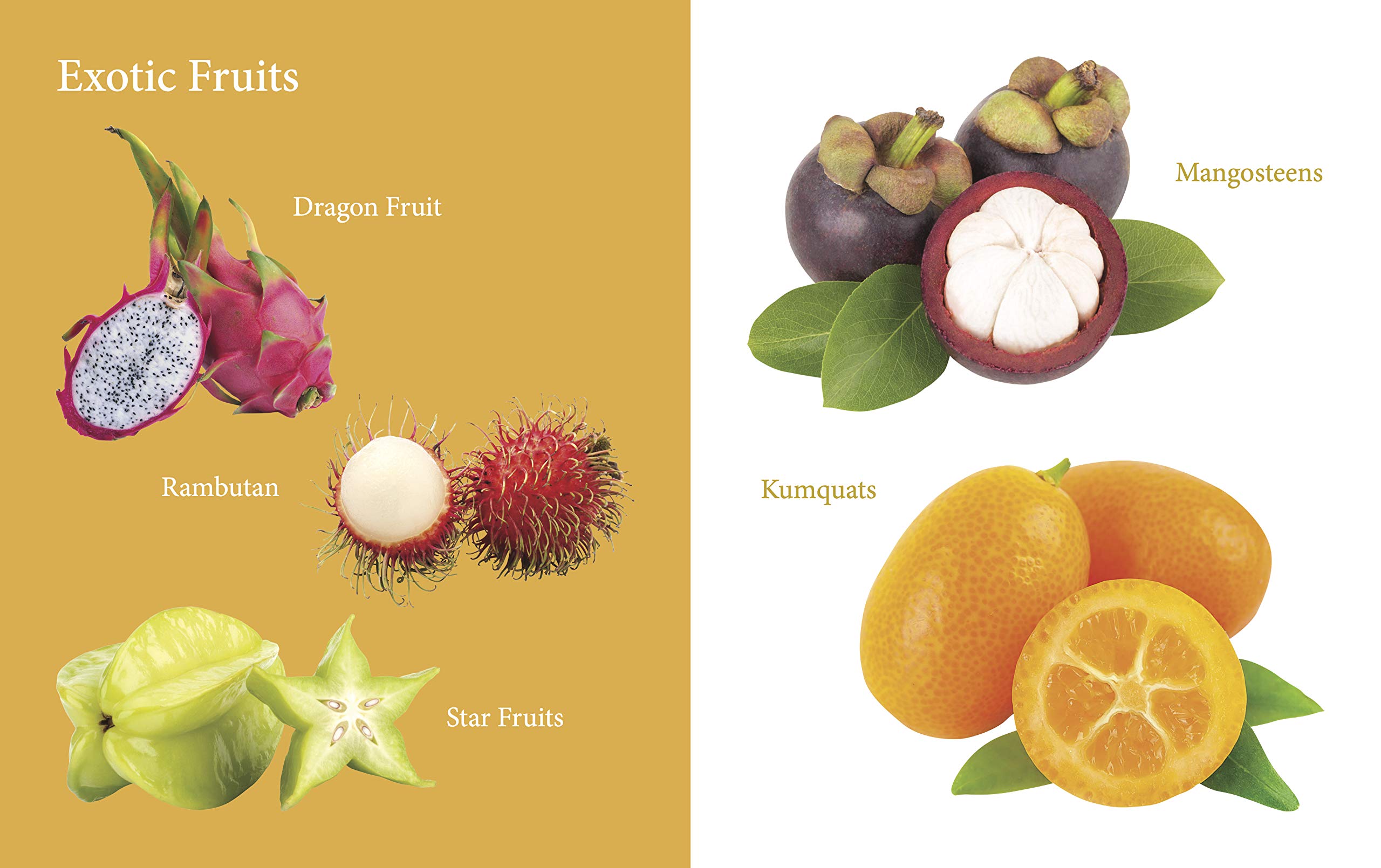 My First Book of Fruits for Children: Fruit Names with Realistic Images | Early Word Recognition | Fun Introduction to Healthy Eating | Learn and Name Fruits with Joy | Colourful Learning Journey for Little Minds 2