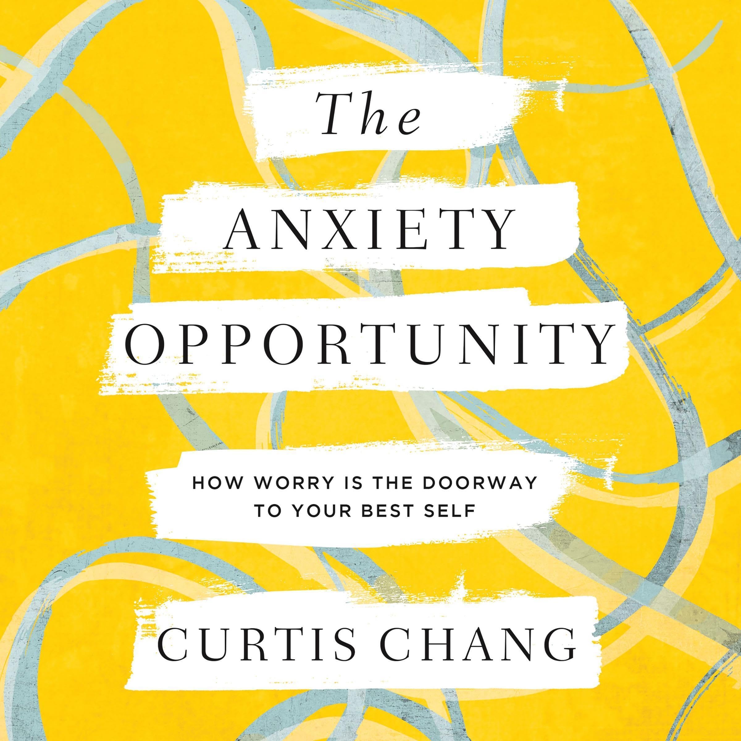 Cover art for The Anxiety Opportunity