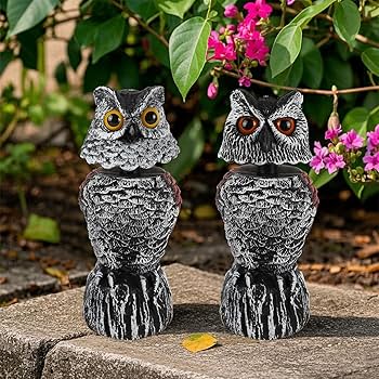 Amazon.com : Hausse 2 Pack Fake Owl Decoy Bird Scarecrow Sculpture