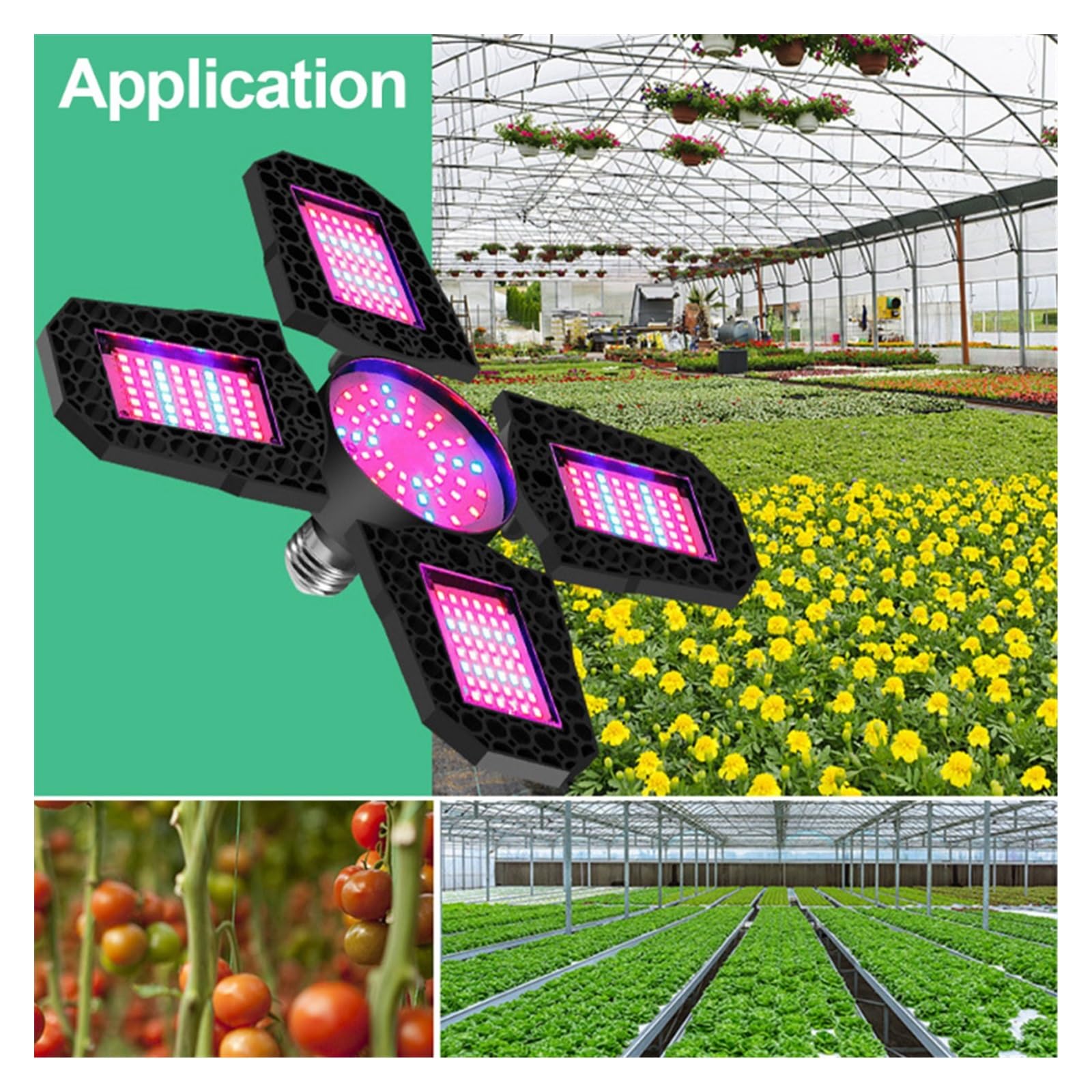 Grow Light, I semi di piante a LED coltivano la luce E27 Pannello LED a spettro completo Coltiva la lampadina della tenda Lampadina della tenda da coltivazione a LED(4 Leaf - 240 LEDs)