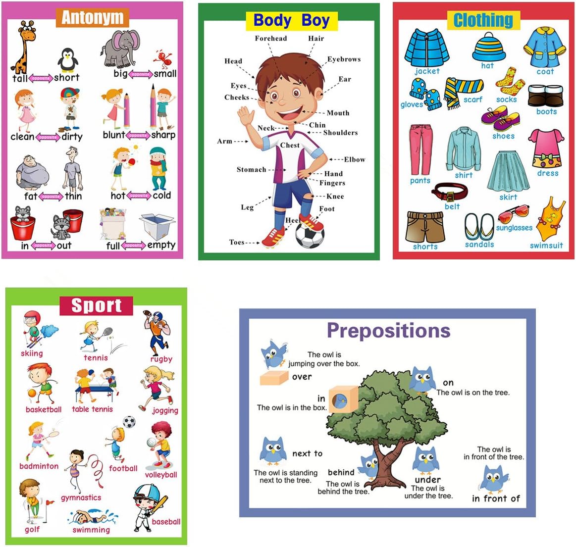 SANTSUN 5 Pcs Laminated Educational Preschool Posters for Toddlers| School classroom Posters | Class decorations for Kids Back to School Supplies, Preschool, Kindergarten, Elementary