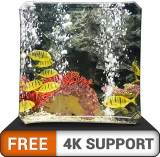 aquário pacífico gratuito HD - decore seu quarto com um belo aquário de vida marinha na sua TV HDR 4K, TV 8K e dispositivos de fogo como papel de parede, decoração para as férias de Natal, tema para m