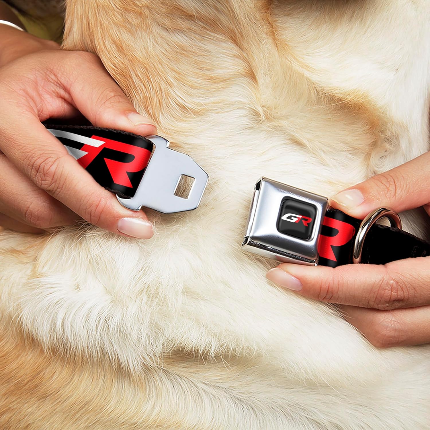 Toyota Pet Collar, Dog Collar Metal Seatbelt Buckle, Toyota Gazoo Racing GR Logo and Text Black White Red, 11 to 16.5 Inches 1.0 Inch Wide