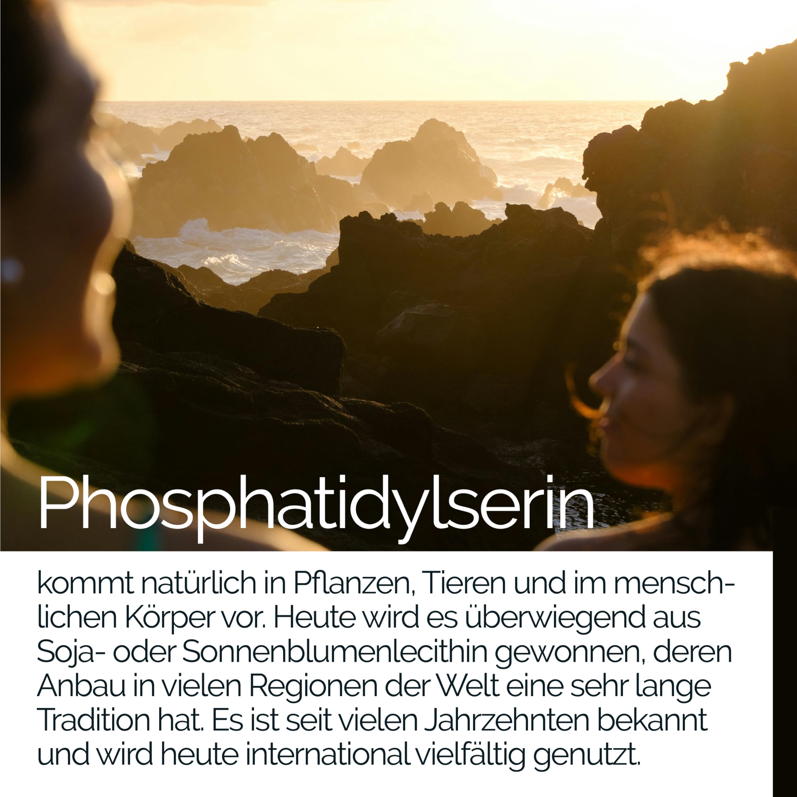 TAVI® Phosphatidylserin • 120 Kapseln x 100mg • ohne Zusatzstoffe | Hergestellt und laborgeprüft in Deutschland