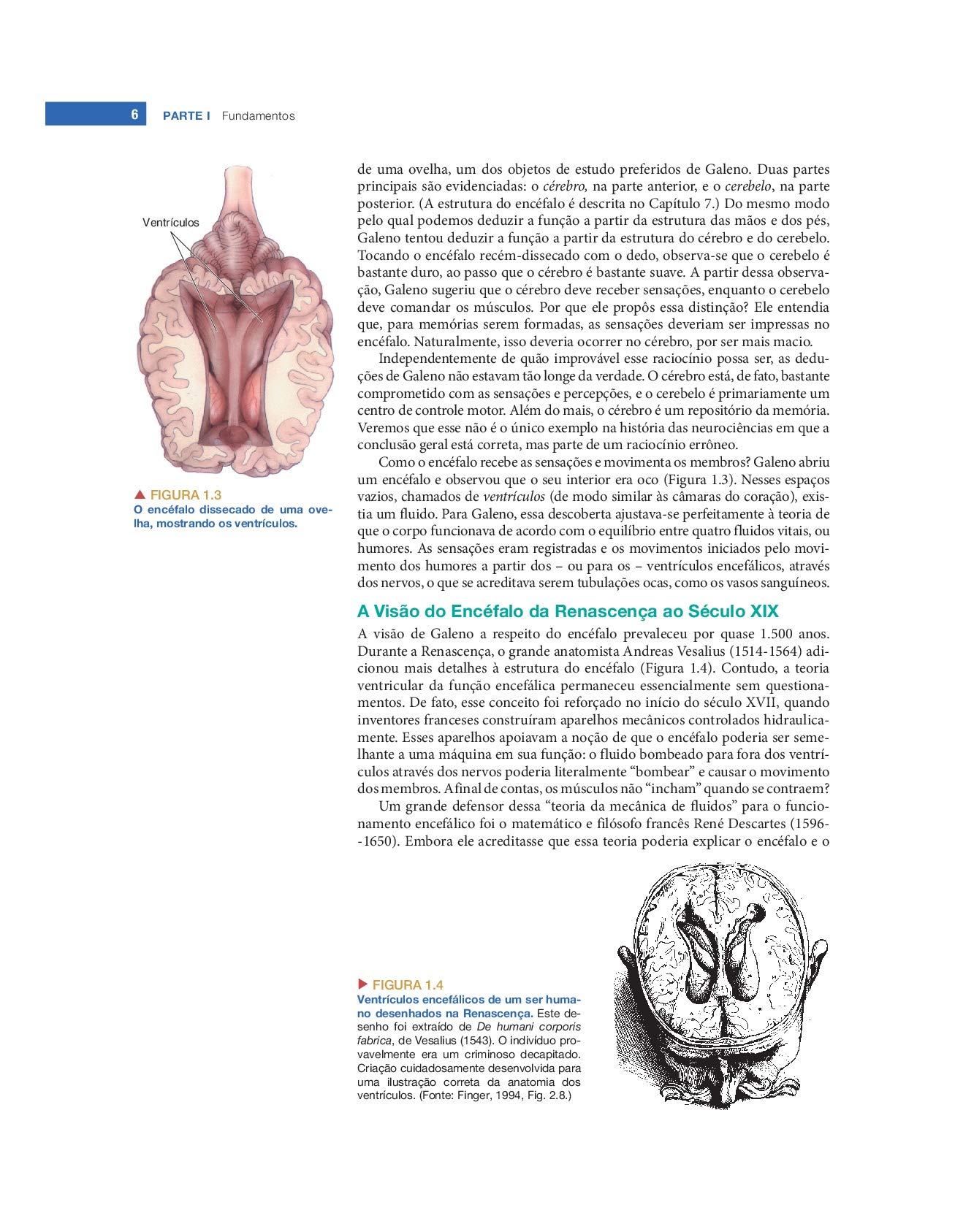 Neurociências