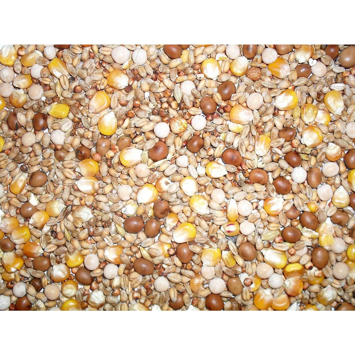 Pigeon Seed Mix 20kg – General Economy Blend for Year-Round Feeding | High-Energy Grain & Seed Mix for Pigeons