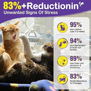 Cat Calming Diffuser Multicat Effective Solution to Stress & Aggression Suitable Cat pheromone Diffuser for Cats Refill Reduce Fighting Spraying and Scratching Calm Relaxing