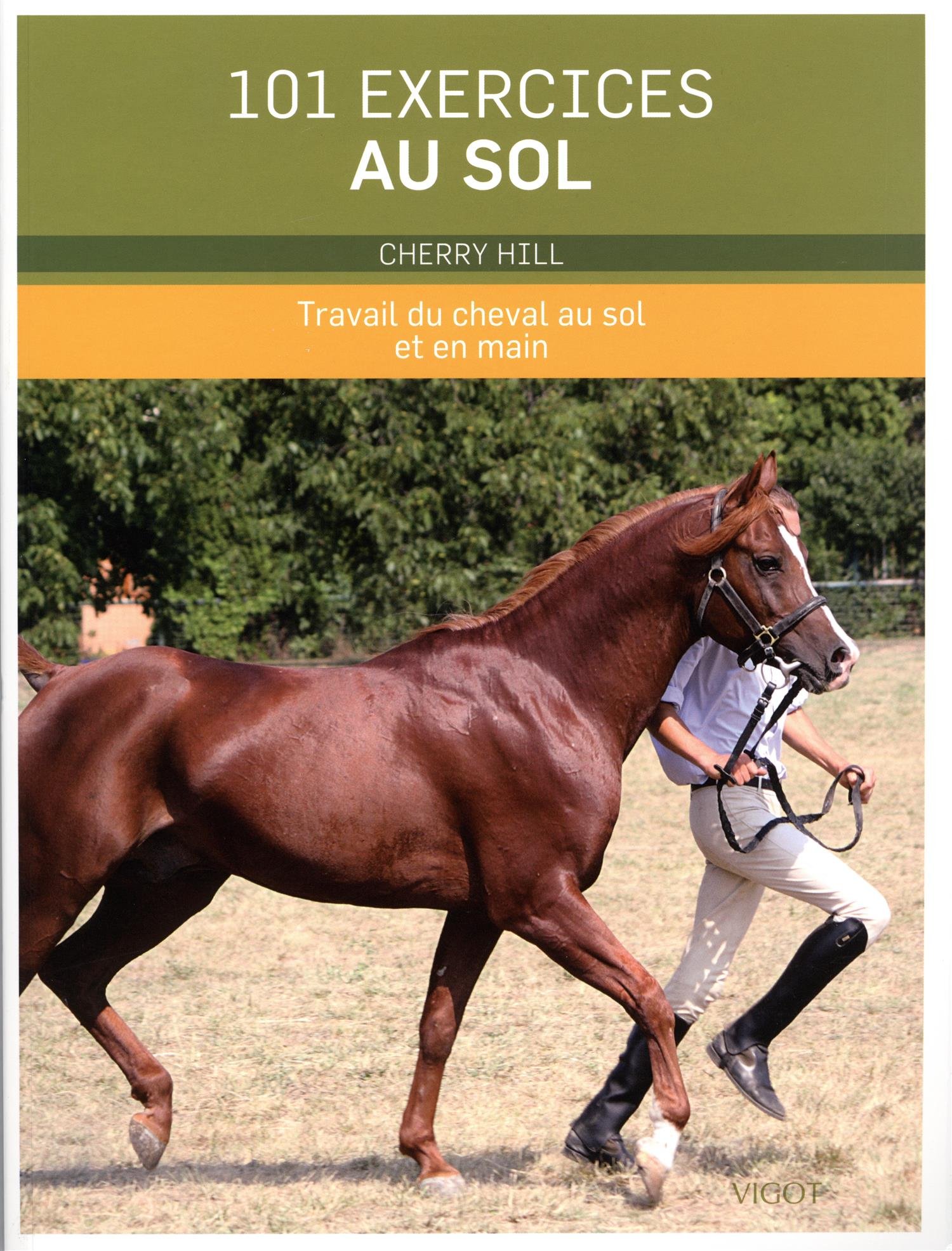 101 exercices au sol: Travail du cheval au sol et en main