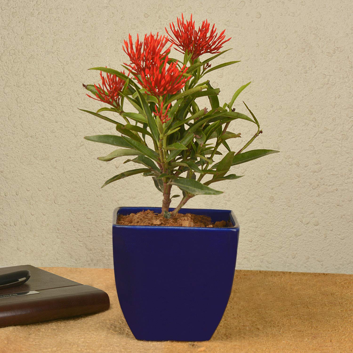 StyleMyWay Studio Pottery Ceramic Planter Pot (Prussian Blue,11 cm) | Indoor Planter | Succulent Pot | Decorative Planter for Living Room