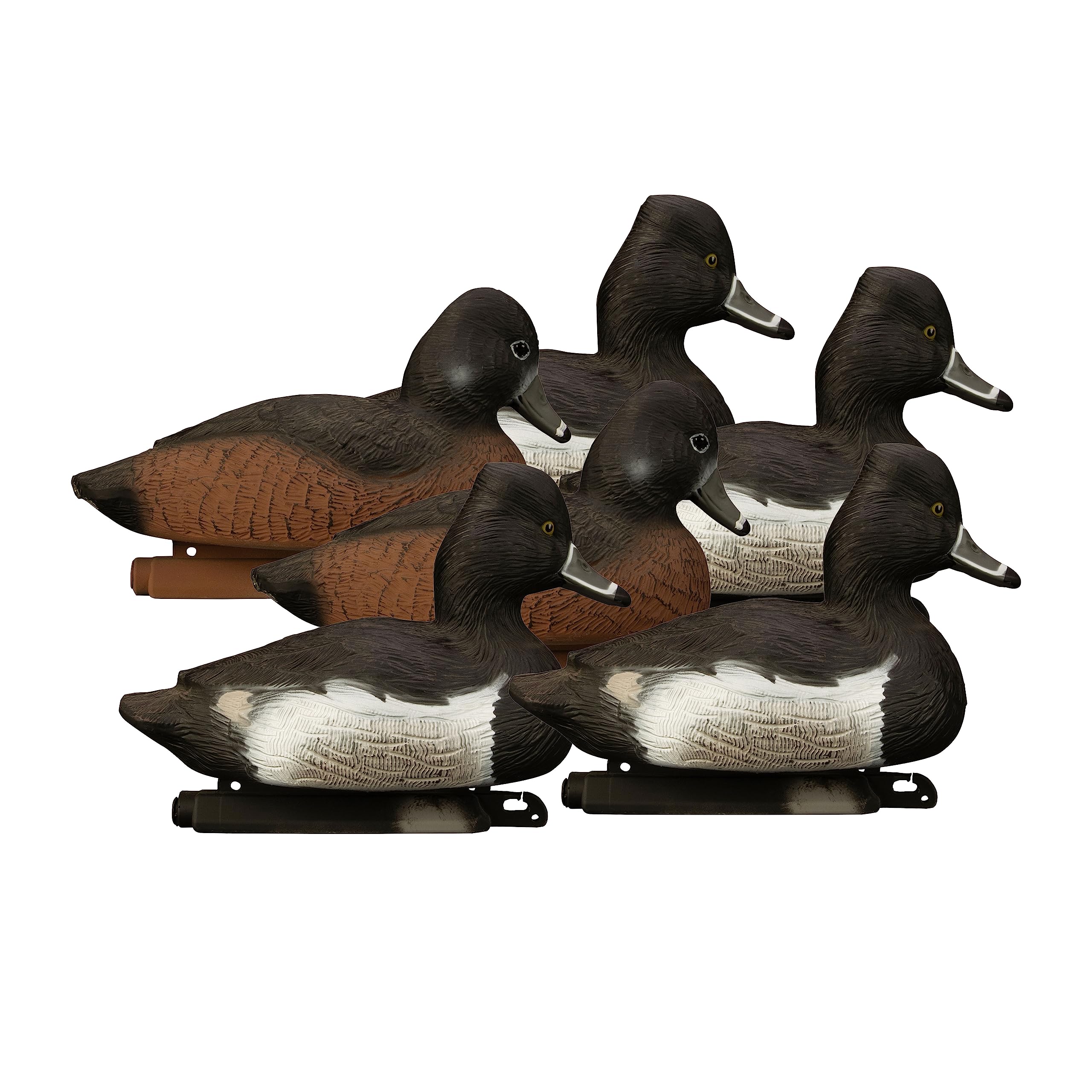 Higdon Outdoors Standard Ringneck Duck Decoys, Foam-Filled