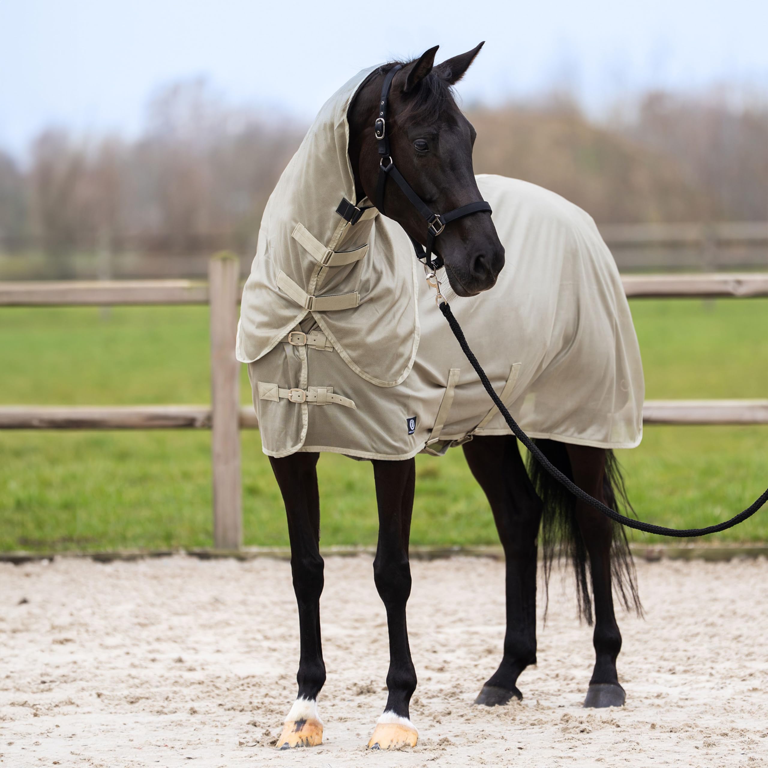 Imperial Riding Fliegendecke IRHReese mit abnehmbarem Halsteil Light Olive
