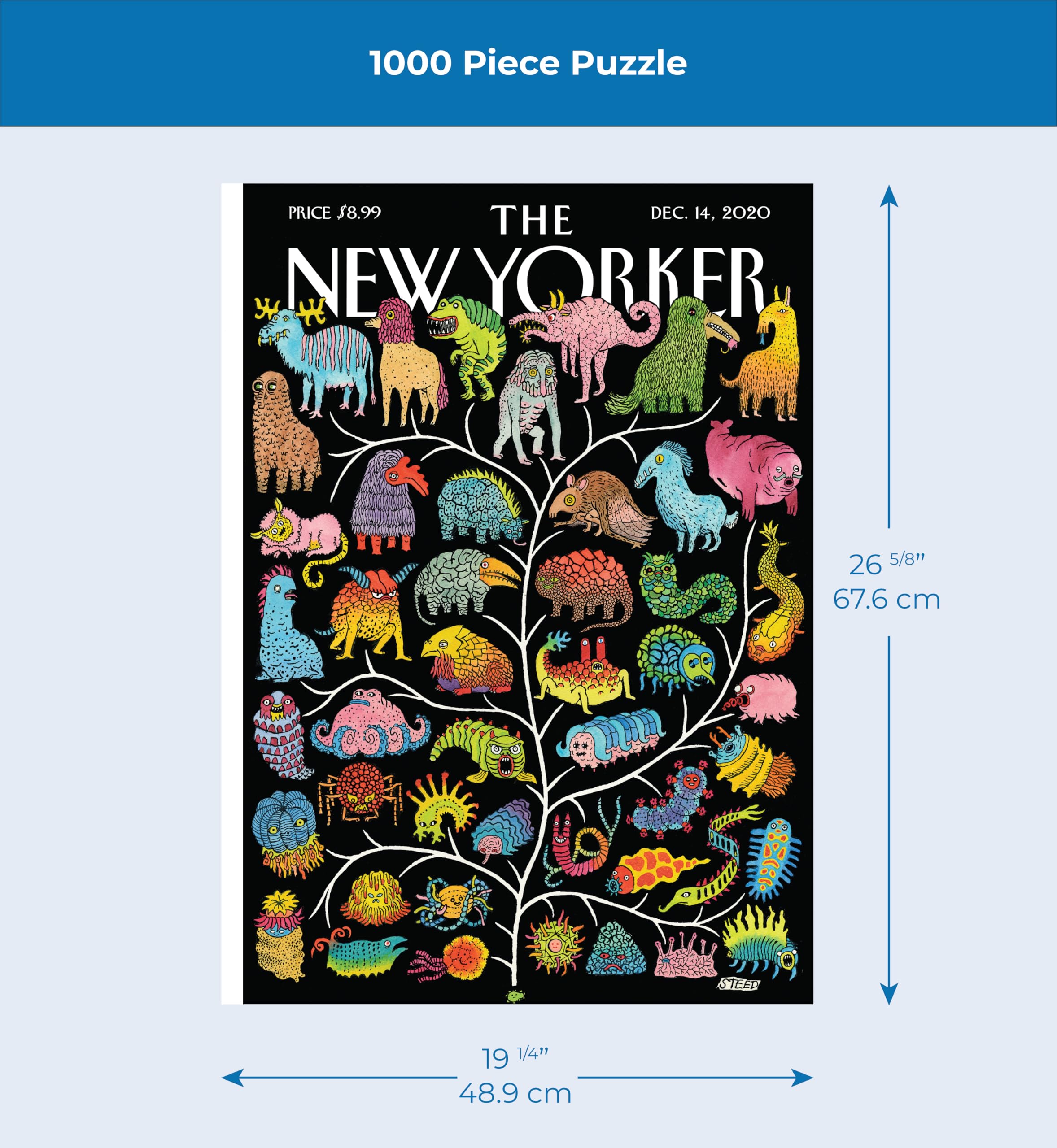 New York Puzzle Company – ナショナルジオグラフィック レイヤー