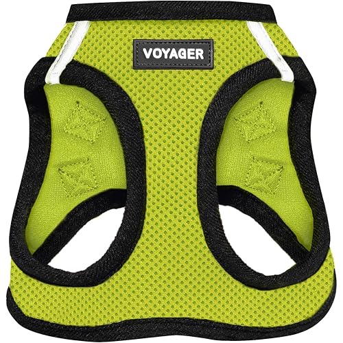 Best Pet Supplies Voyager Step-in Air Harness - All Weather Mesh, Reflective, No Pull Harness for Dogs, Cats - Secure with Hook & Loop Fastener, Buckle, Double D-Rings - Lime Green/Black Trim, S
