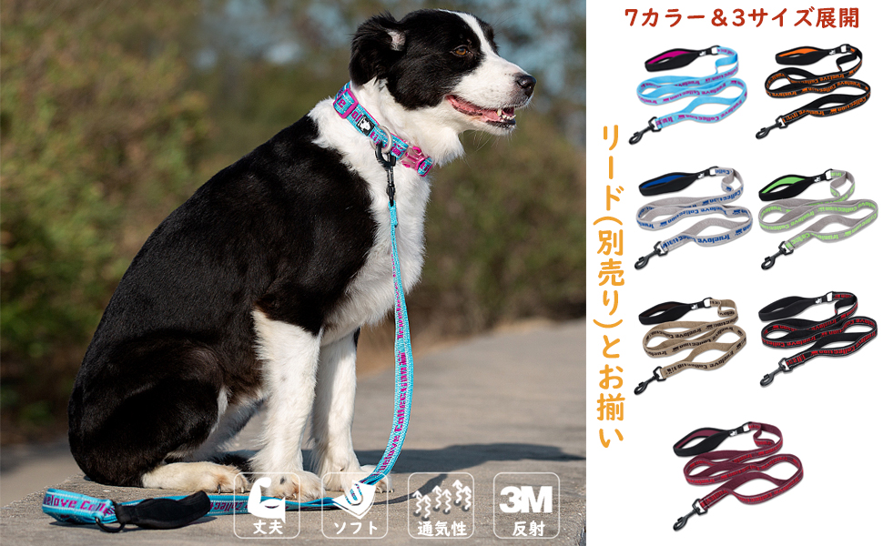 Amazon | J&C Paradise スタイリッシュ 犬首輪 日本正規店 犬用首輪