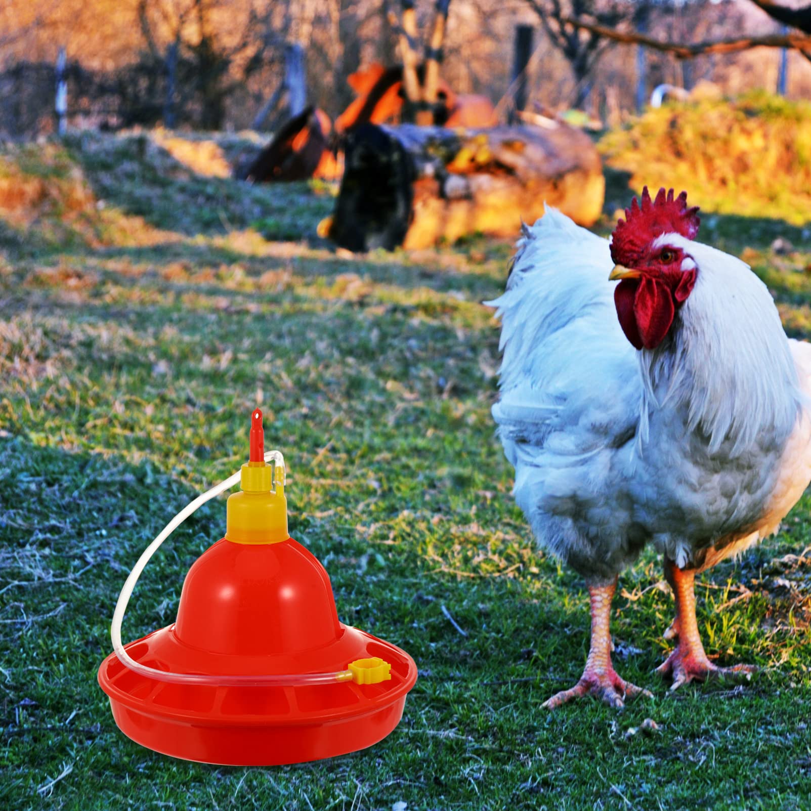 Abbeveratoio Automatico per Polli e Oche in Plastica, Resistente al Freddo al Calore, per Uso Interno ed Esterno, Rosso