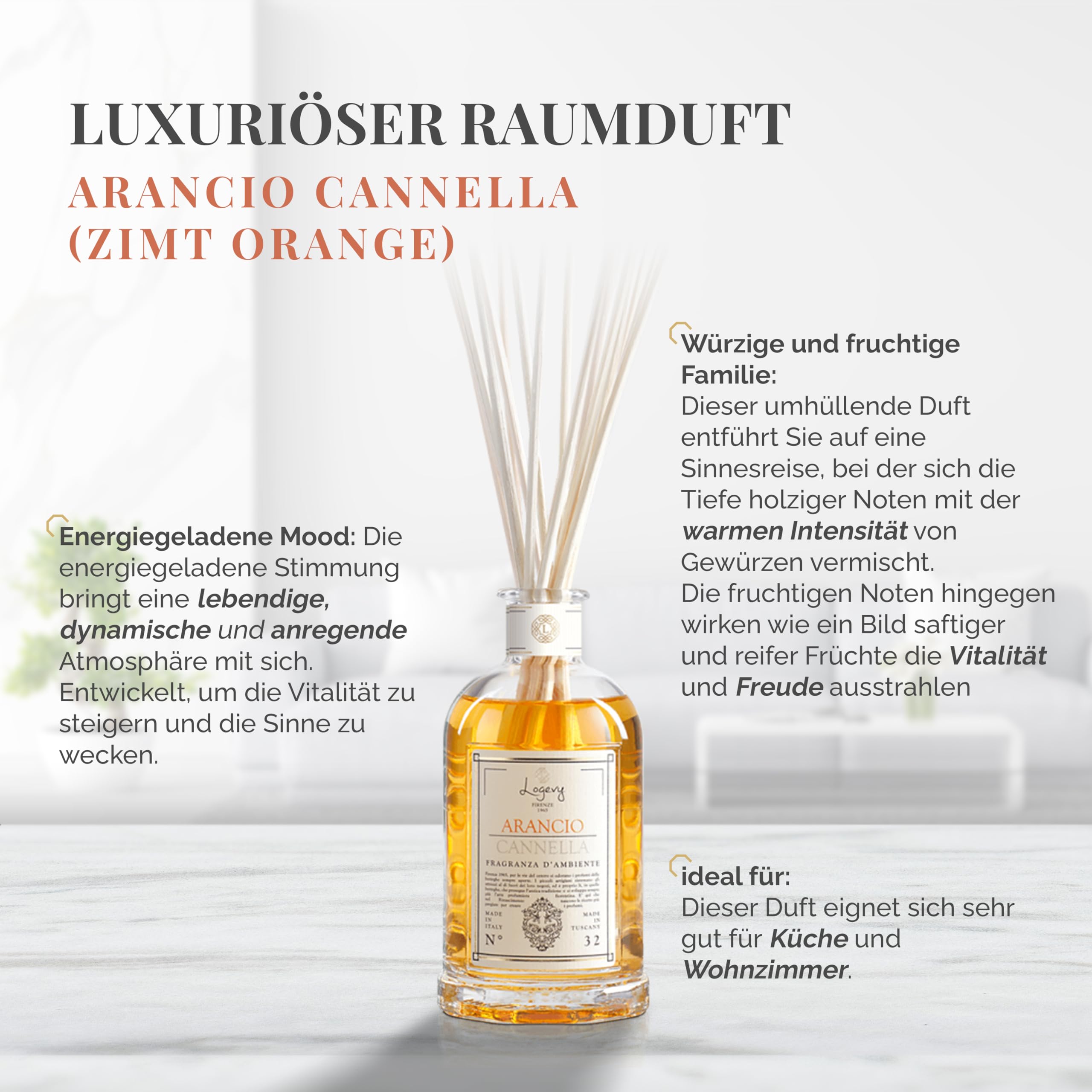 LOGEVY - Raumduft - Zimtorange - (500 ml NEW 2022)