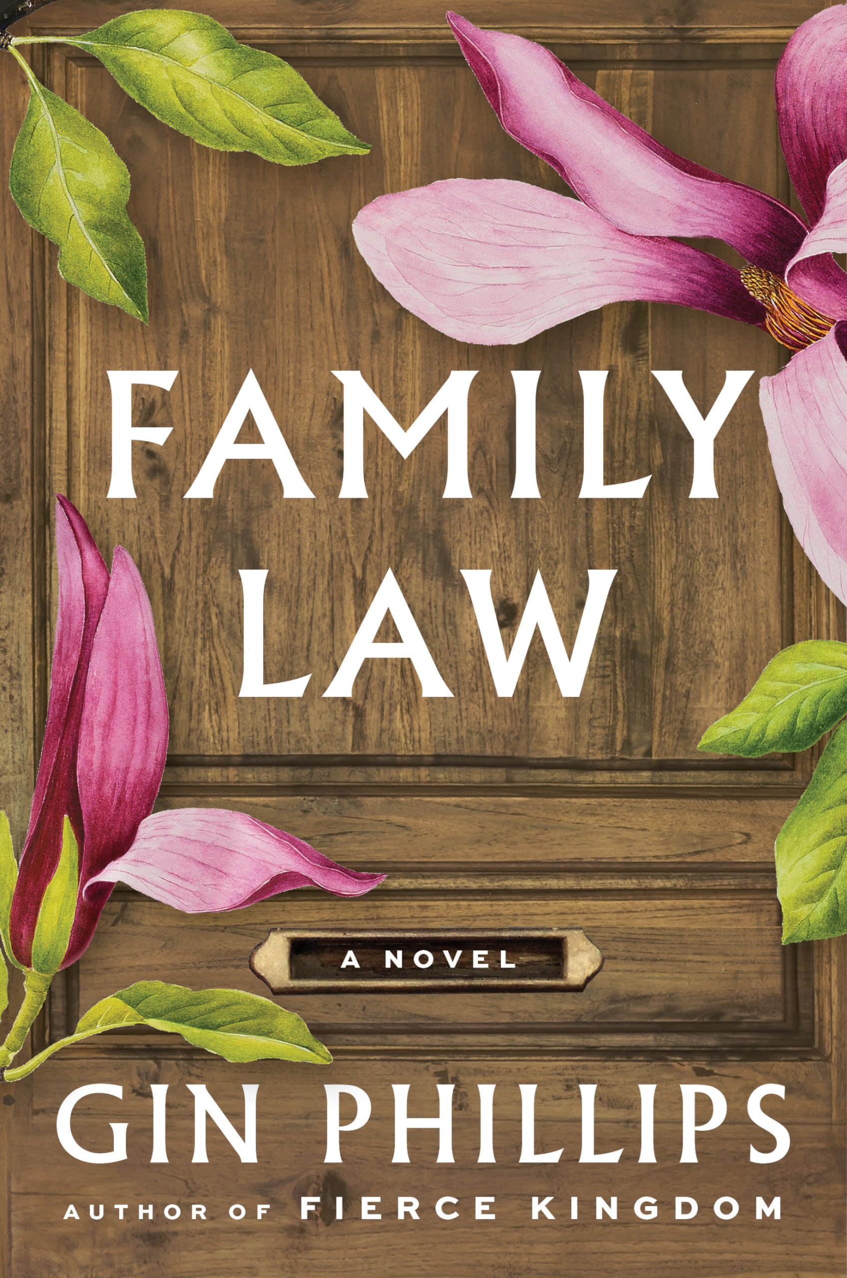 Buy Family Law: A Novel — BookShops.in
