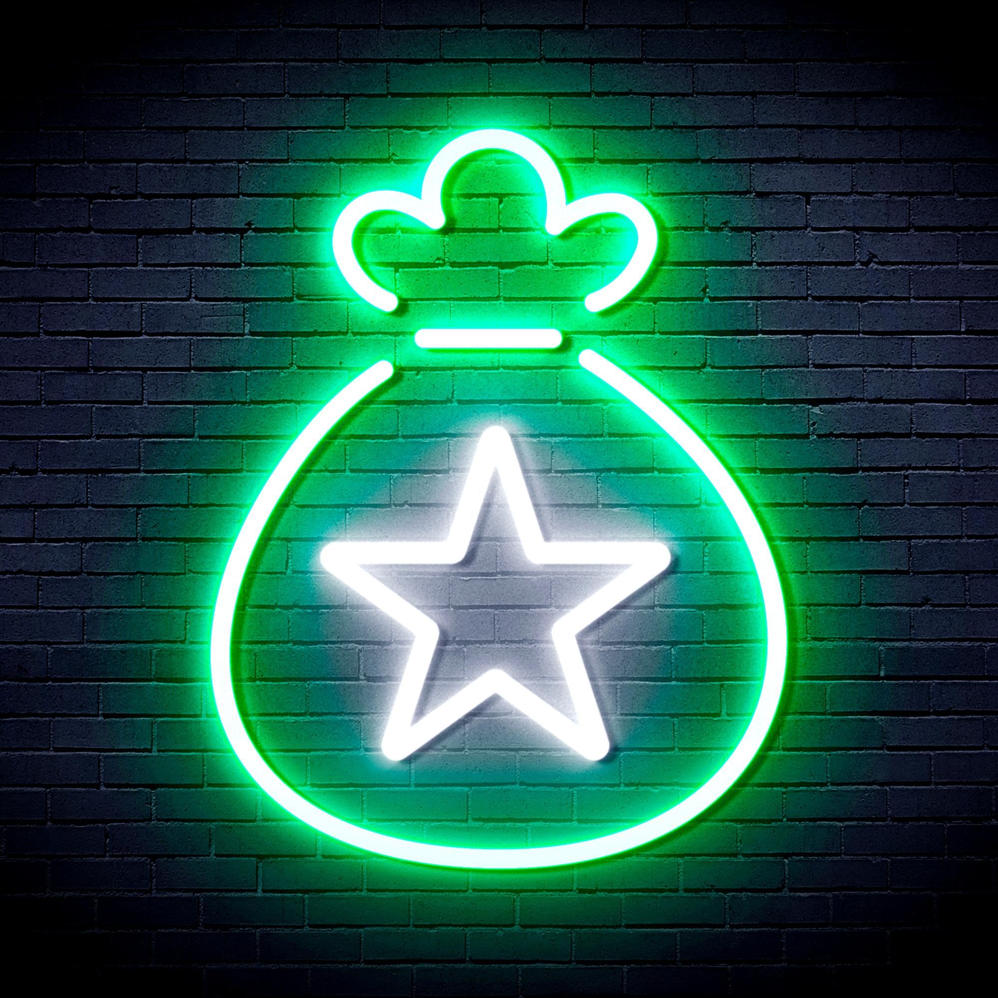ADVPRO Snata Claus Bag Flex - Letrero de neón LED de silicona, blanco y verde, st16s66-fnu0104-wg