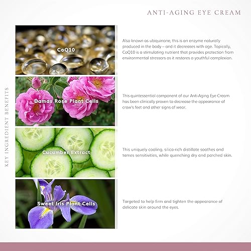 Miniatura 5 de Annmarie Skin Care Crema de ojos antienvejecimiento: con té verde rico en antioxidantes, extracto de pepino y brillante, calmante para hinchazón,