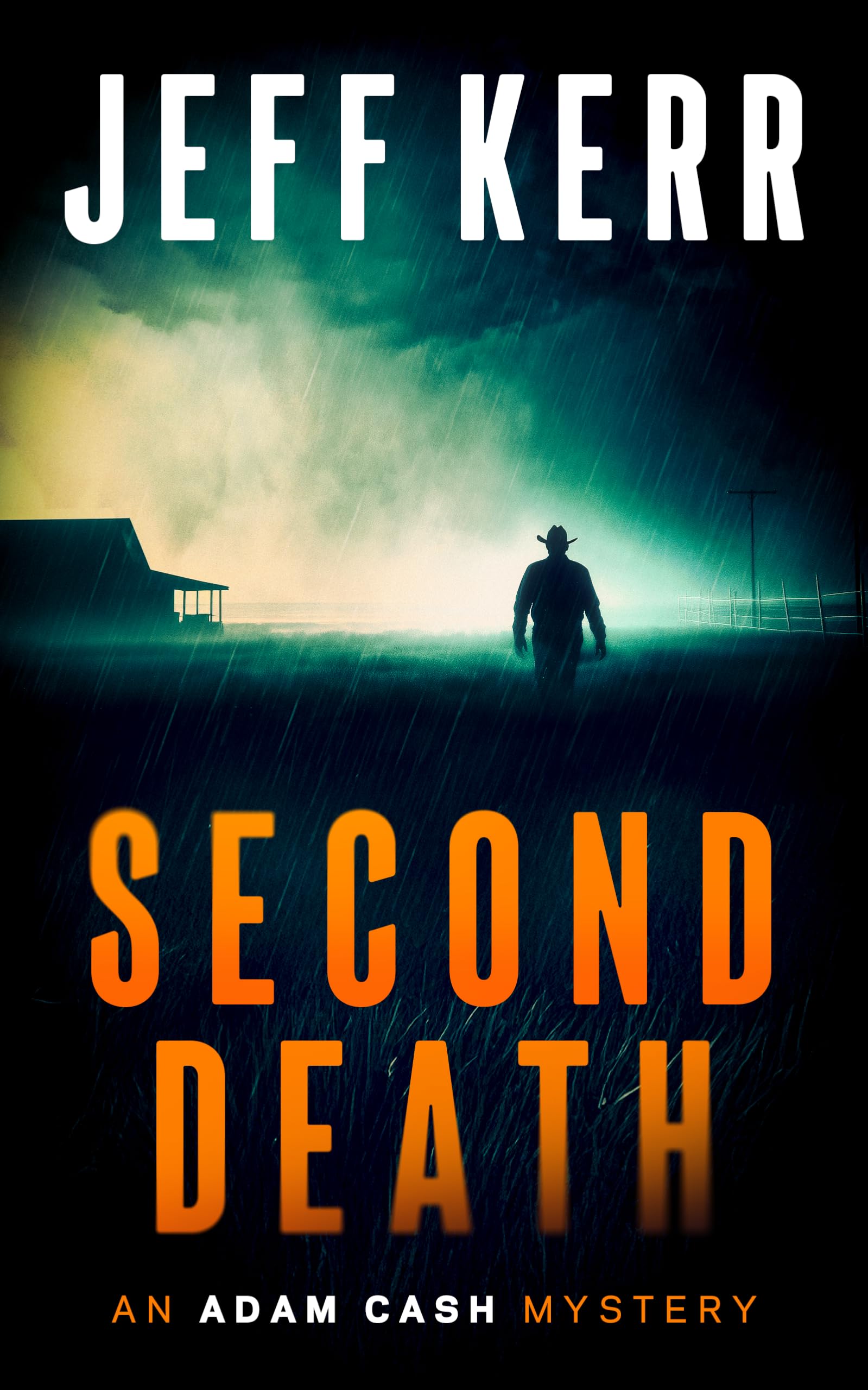 Second Death: 2 (The Adam Cash mystery series)