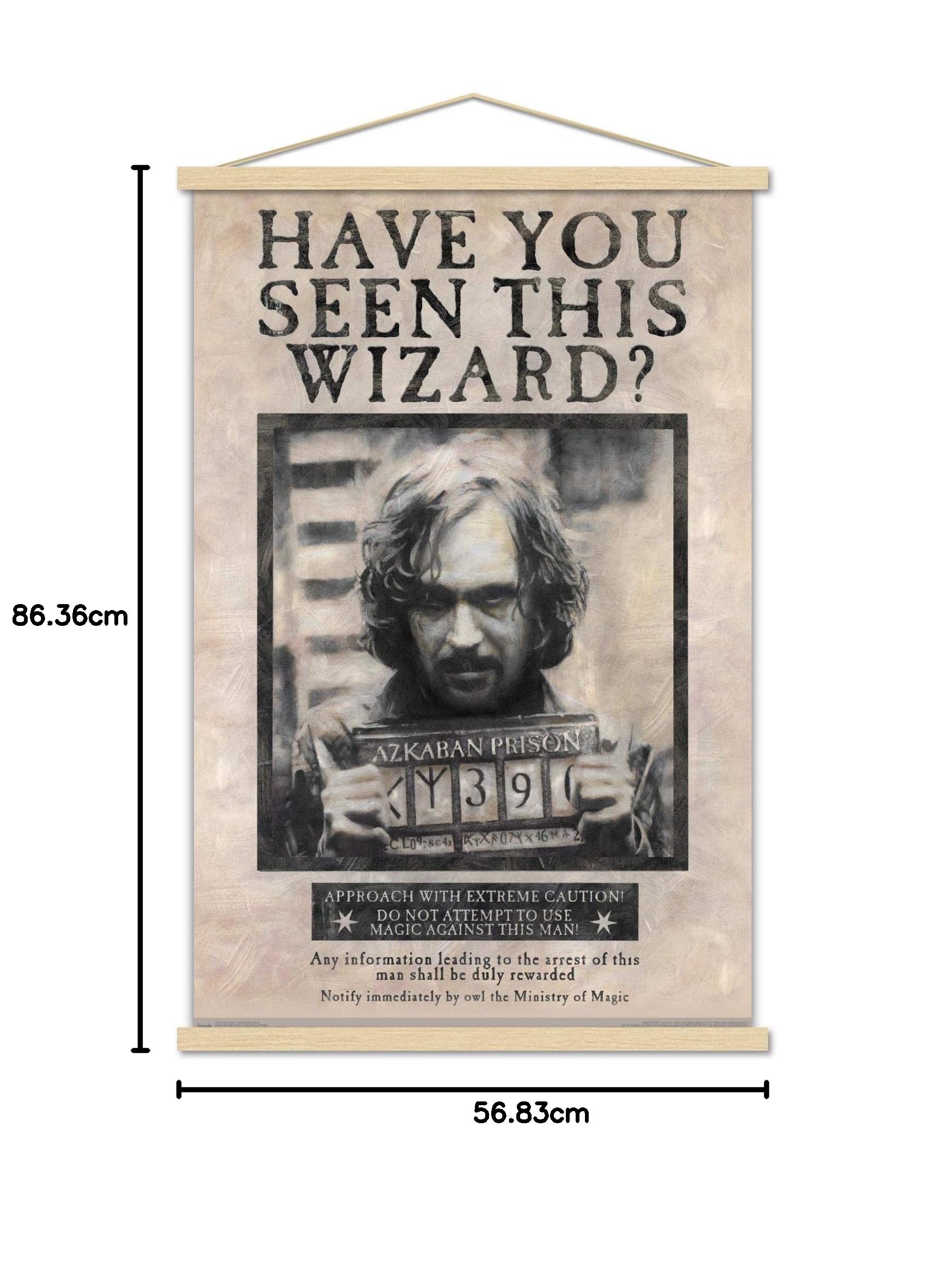 Amazon.co.jp: Trends International The Wizarding World:ハリー