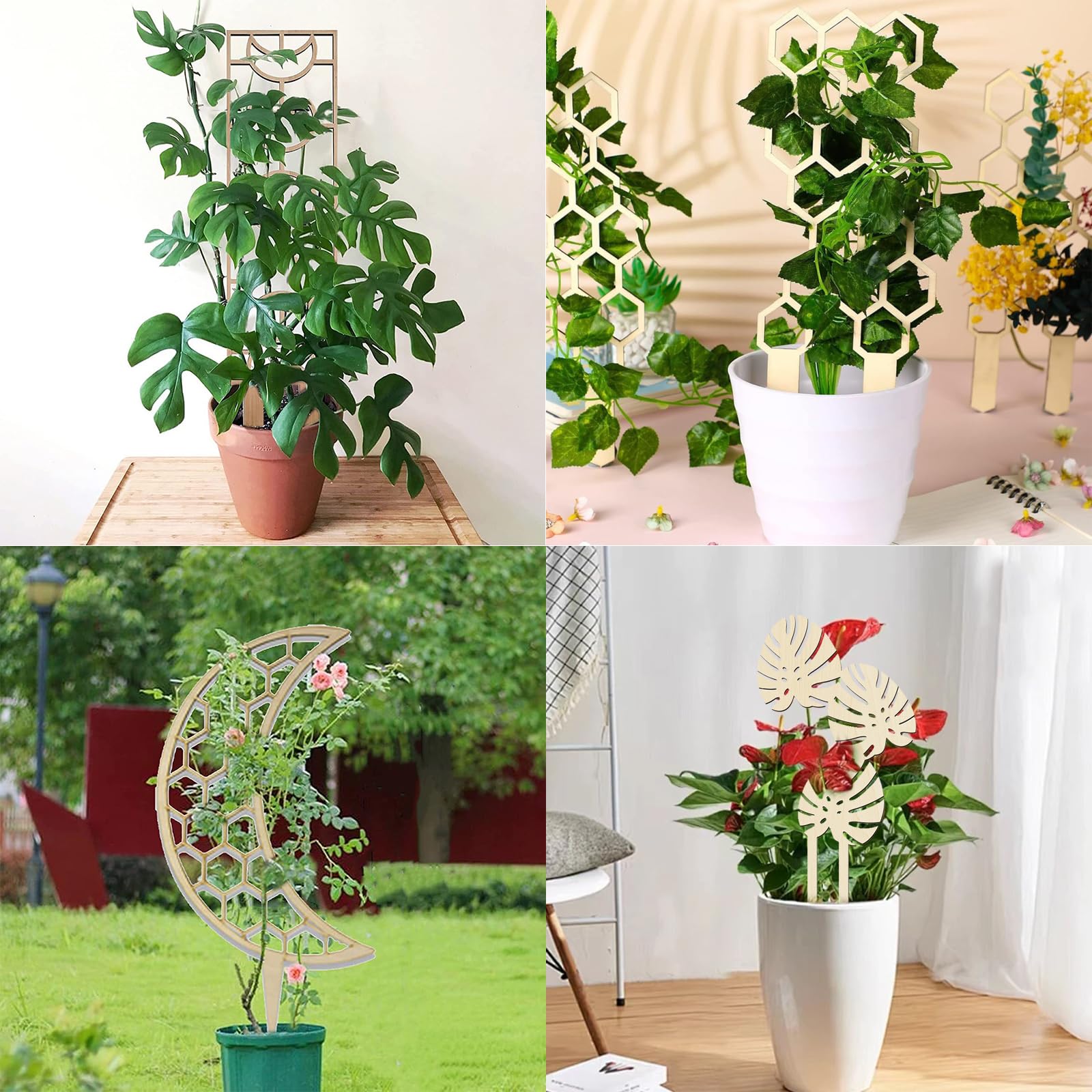 FOSDICK 4 Stck Rankhilfe Zimmerpflanzen, Rankgitter Holz, Garten  Pflanzensttze Rankhilfe, Kletterpflanzen Rankhilfe, Kletterhilfe Pflanzen,  Rankhilfen, Pflanzen Sttze fr Topfpflanzen, Blumen : Amazon.de: Garten