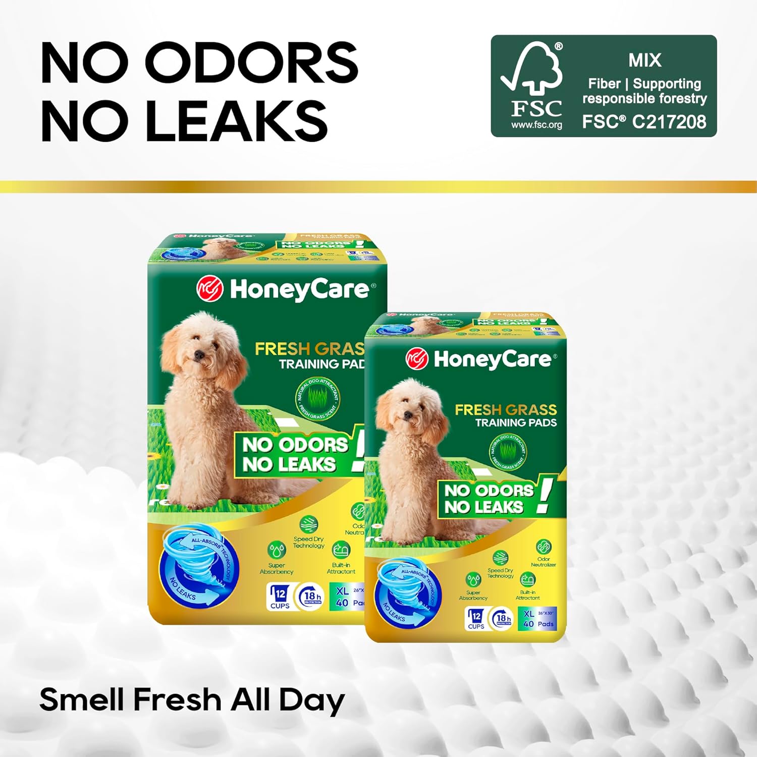 HoneyCare Fresh Grass Print/Scent All Absorb XL Training Pads, 26x30, 40 Ct