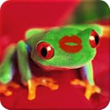 Kiss The Frog Find Your celebrity Prince( no popup ads )