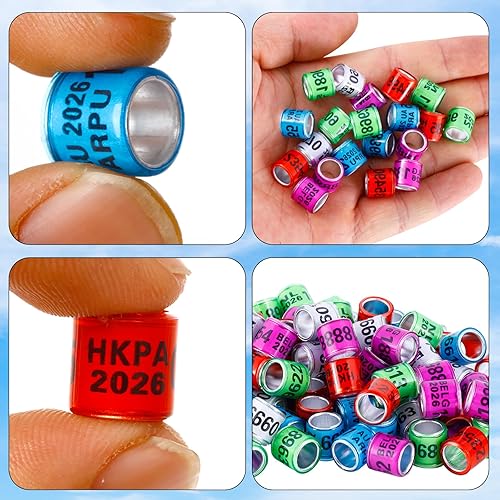 Miniatura 10 de 100 anillos de aluminio multicolor para patas de paloma, anillos de pata de paloma, anillos para identificar bandas de plástico con entrenamiento AU