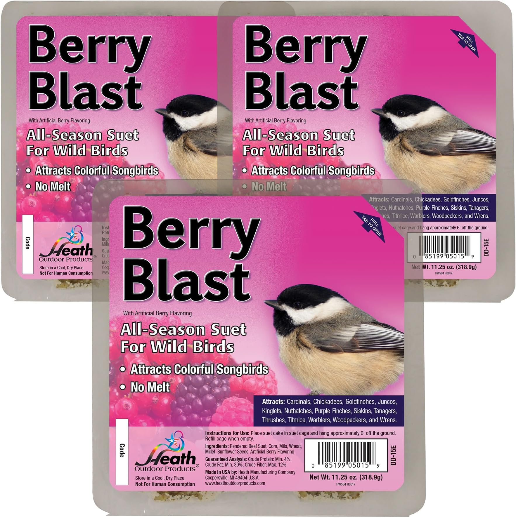 Berry Blast Suet Cakes Sample Pack, Contains 3 Suet Cakes, Try It, Your Birds Will Love it, for Woodpeckers, Cardinals, Siskins, Sparrows, Finchs & Many More Wild Bird Species