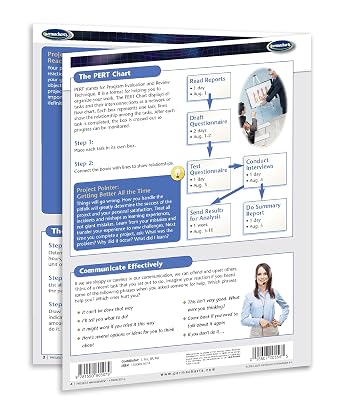Project Management Guide - Productivity Quick Reference Guide by Permacharts