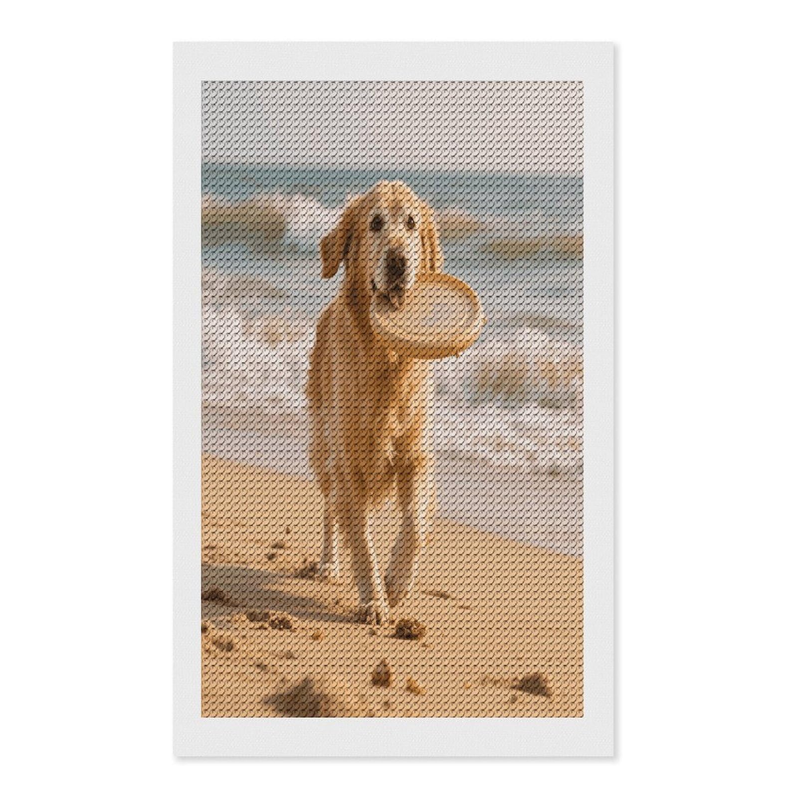 VstaDank Golden Retriever Dog Diamond Painting Kits Exquisite DIY Full Round Drill Diamond Dots Painting for Adults Beginner Diamond Photo Paint with Diamond Picture Art Wall Decor 12"x20"