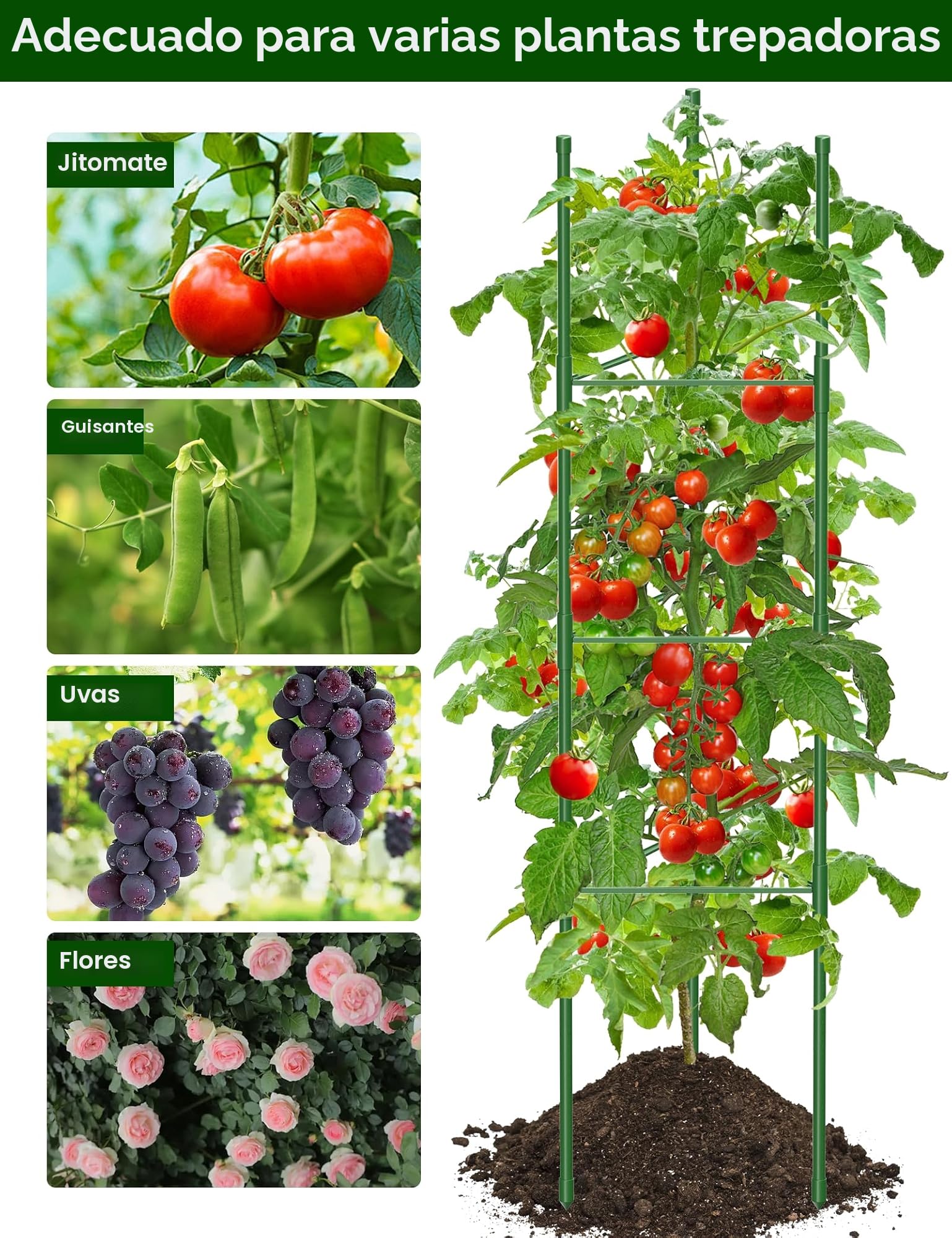 Jaulas de Tomate de Jardín, 130 cm Enrejado para Tomates Soporte Plantas Trepadoras Interior Exterior para Parterres Elevados, Verduras, Flores y Plantas Trepadoras 6 Piezas