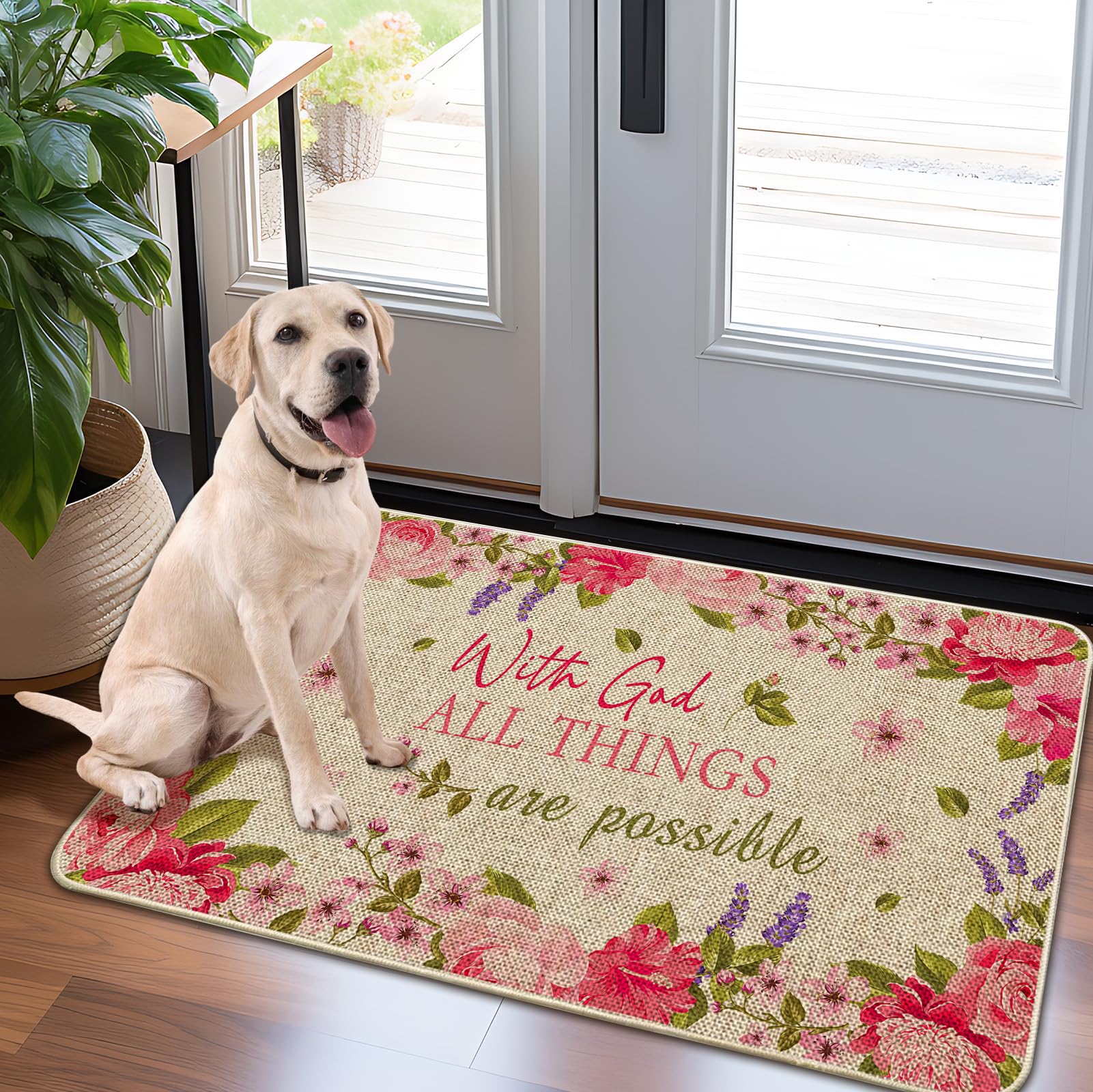 Door Mat-Non-Slip Rubber Back Welcome Mat for Front Door,Indoor Outdoor Entryway,Durable & Absorbent Low Profile Doormat for Home Entrance,Anything is Possible 17x30 in