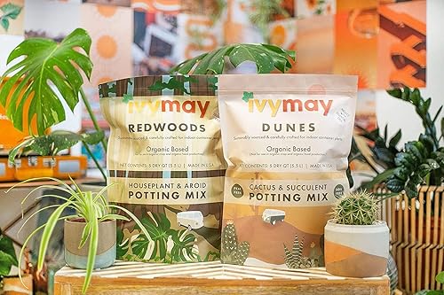 Miniatura 7 de IvyMay Dunes - Suelo para suculentas, mezcla orgánica para macetas de cactus para suculentas, listo para usar, plantas de interior con perlita,