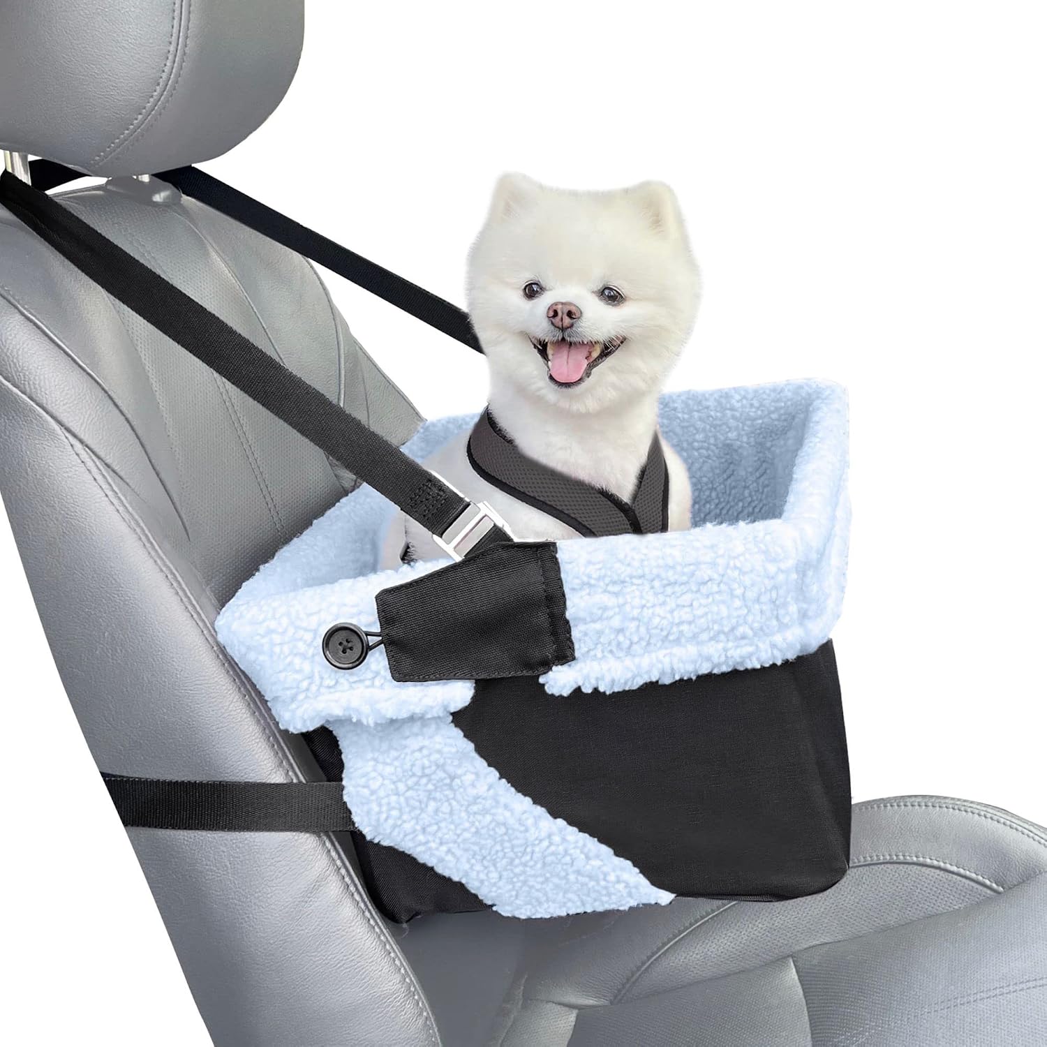 Stella and Bear Blue and Black Cozy Boost with Clip On Leash- Premium Quality Dog Booster Seat and Collapsible Dish for Small Dogs,…