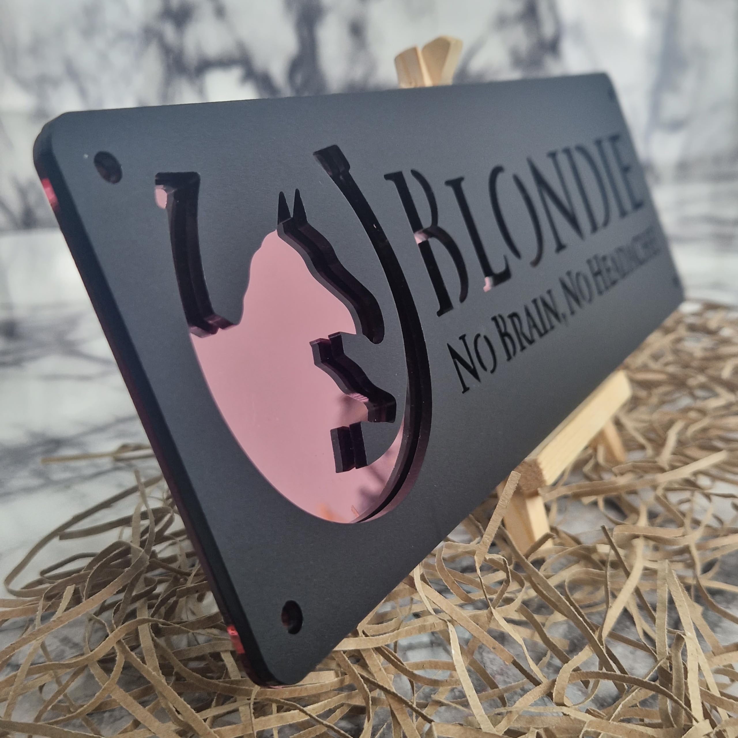 Generic Horse Stable Sign Acrylic Black Minimalist Door Mount 30 cm x 45 Mum and Foal โ image 1